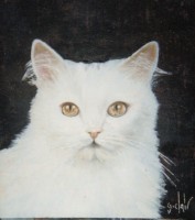 /album/portraits/portrait-de-chat-05-93-jpg/